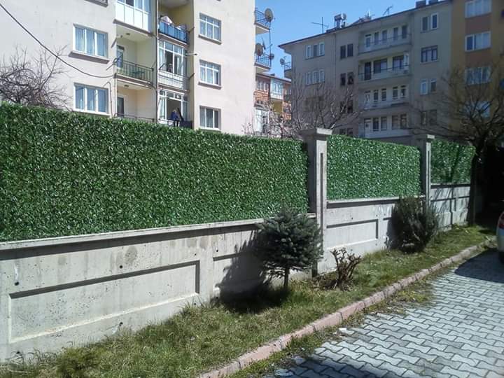 IMG-a6e0d26bc02ef03bb57394e94b03667e-V IMG-a6e0d26bc02ef03bb57394e94b03667e-V